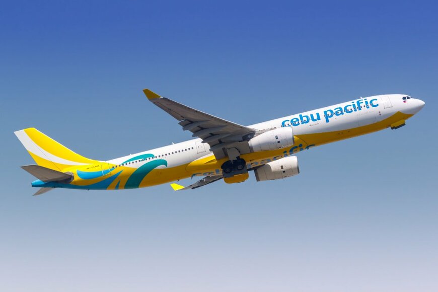 Markus Mainka/shutterstock.com