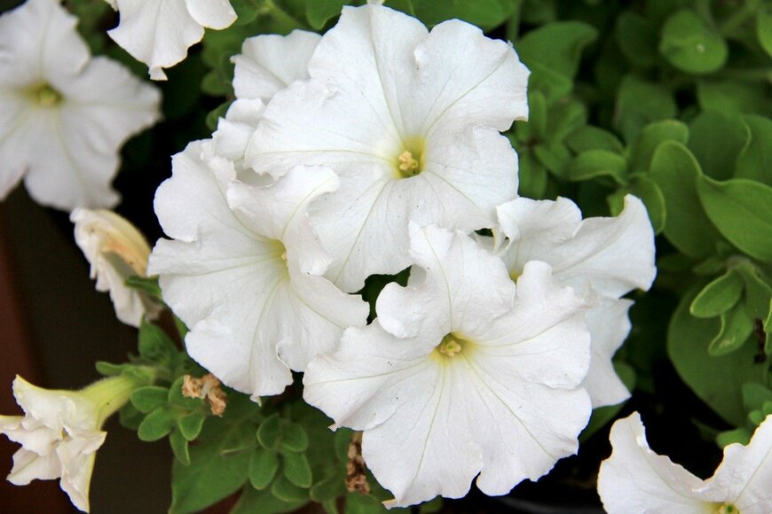 Nikola Art/istockphoto.com