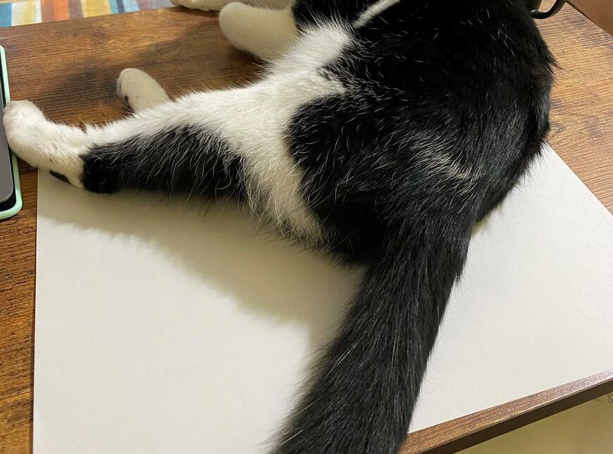 出所：@00shitemita