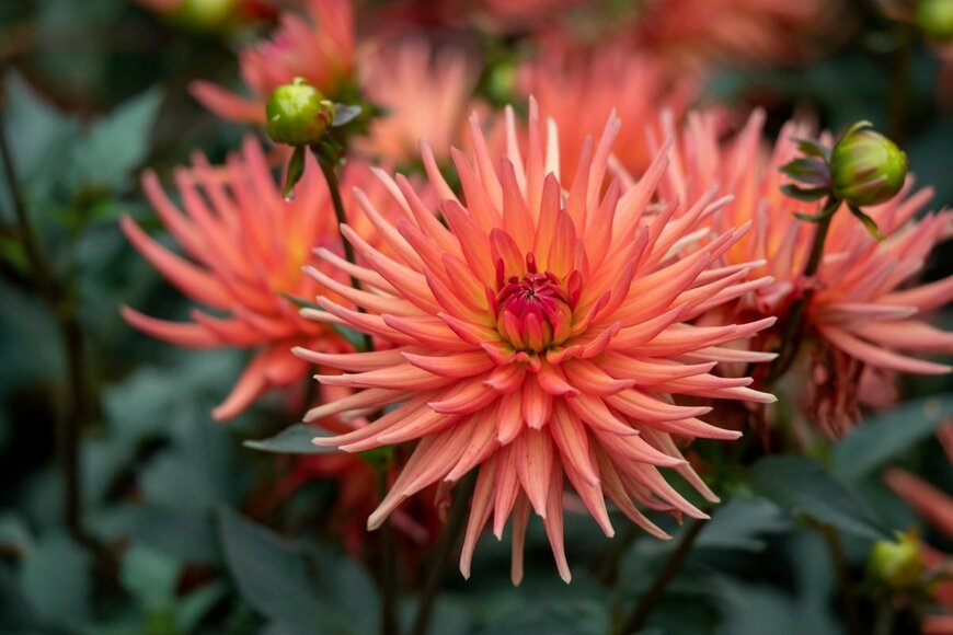 LiuSol/shutterstock.com