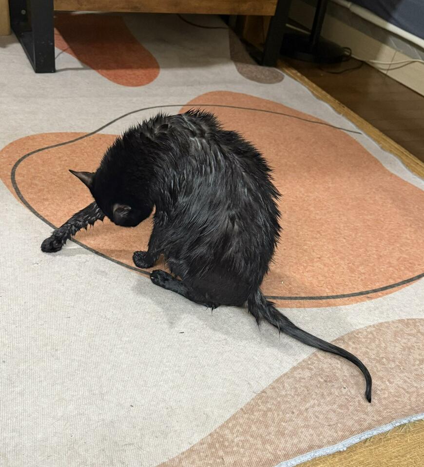 出所：@00shitemita