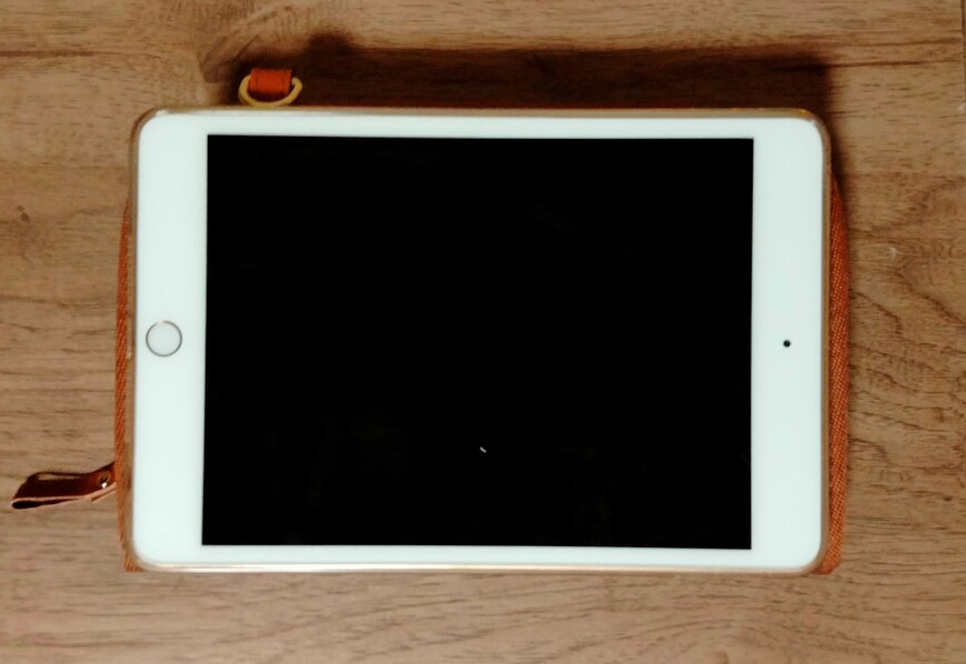 筆者撮影（宝島社、miffy カードがたっぷり入るお財布ポーチBOOK）