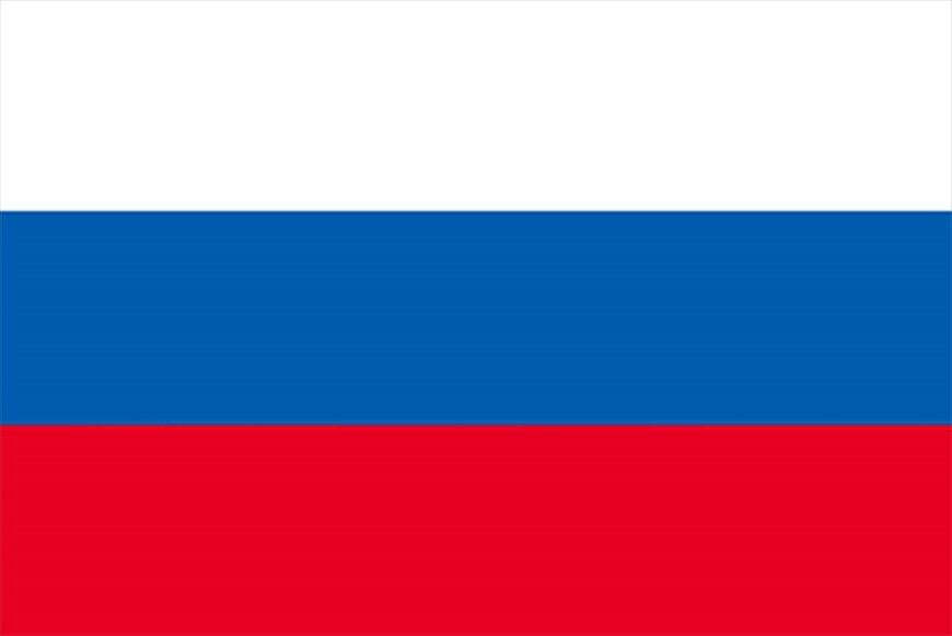 このロシアの国旗 どこが まちがい かわかりますか 難易度 記事詳細 Infoseekニュース