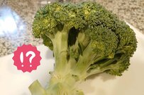 SNSで話題の「ブロッコリーの洗い方」スーパーの店員さんがシェアした方法にツイッターで注目集まる　虫や汚れはどのくらい取れる？筆者も試してみた