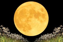 【シニアの年金一覧表】70歳代、80歳代の「厚生年金と国民年金」みんなの平均受給額はいくら？