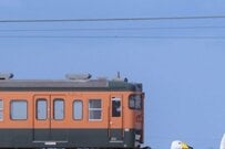 撮り鉄が新潟県で撮影した「電車と白鳥」　芸術的な1枚に絶賛の声