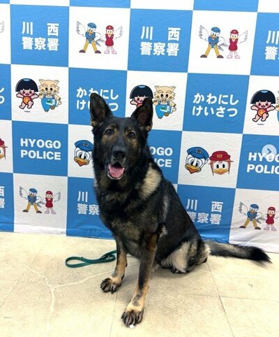 出所：<u><a href="https://www.instagram.com/p/DboyJG2Ejsc/?img_index=1" target="_blank">＠hyogo.pref.police</a></u>