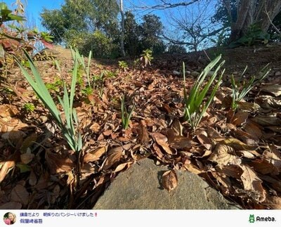 假屋崎省吾の公式ブログ投稿