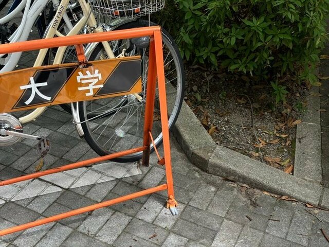 京都大学で発見された「小さな人」　絶妙に擬態した姿に「リアルなのはアツい！」「センス最高」