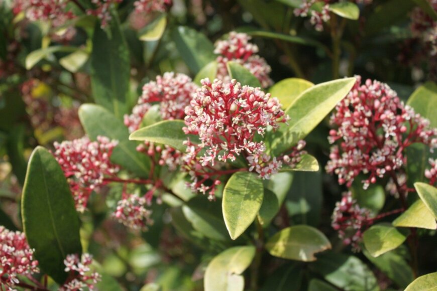 Martina Unbehauen/istockphoto.com