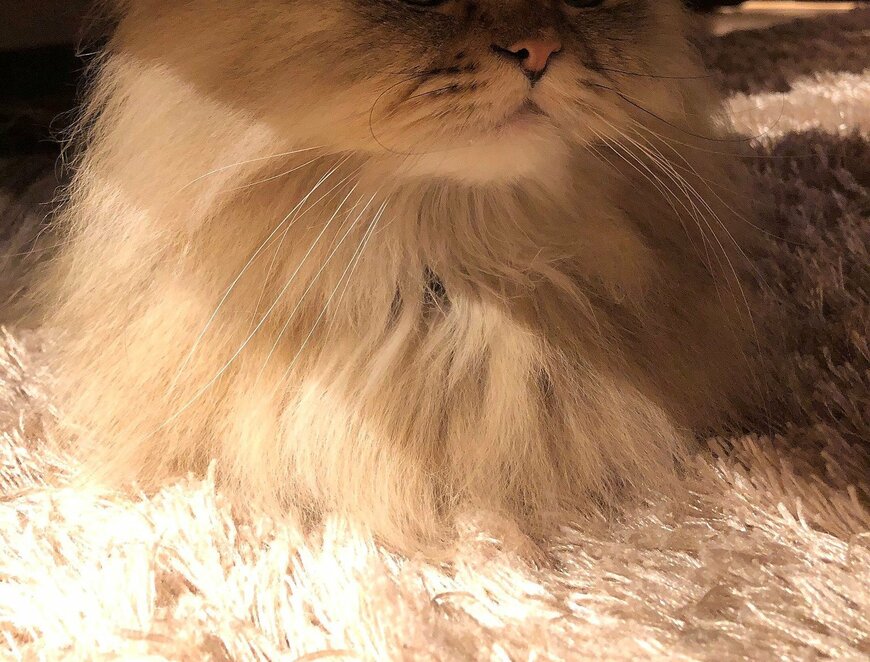 出所：@UphQepCv8J