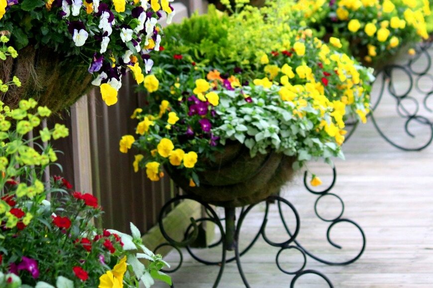 Teresa Taylor/istockphoto.com