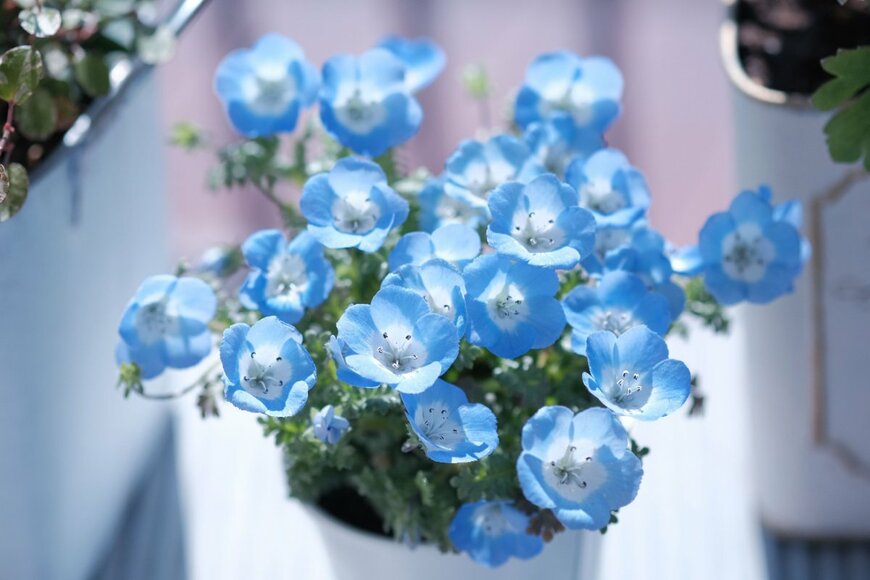 8kkaame/shutterstock.com