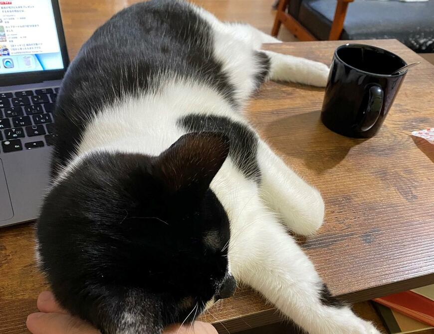 出所：@00shitemita