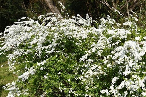 tamu1500/shutterstock.com