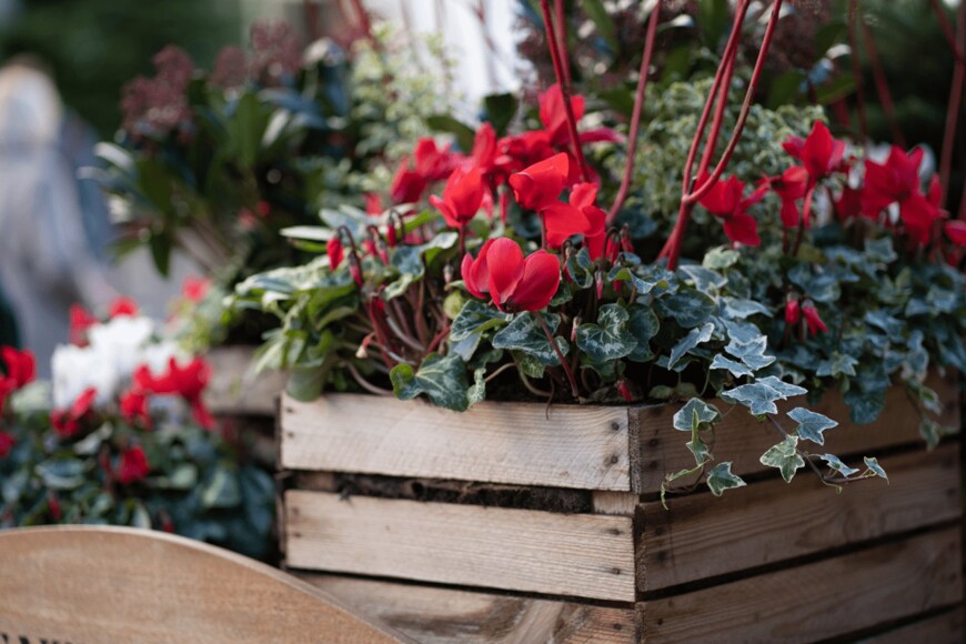 SvitlanaR/shutterstock.com