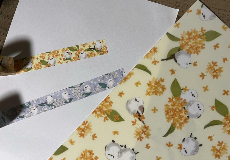 筆者撮影（キャンドゥ、02KSマスキングテープ20mm×3m・02KS A4クリアホルダー3ポケット）