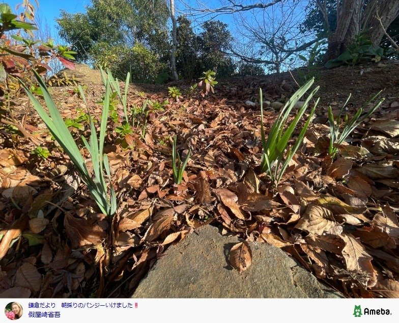 出所：假屋崎省吾の公式ブログ　参照日：2025年12月24日