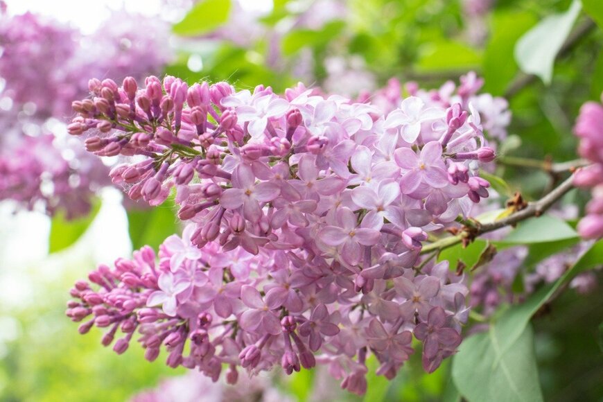 Natalia Zhukova/istockphoto.com