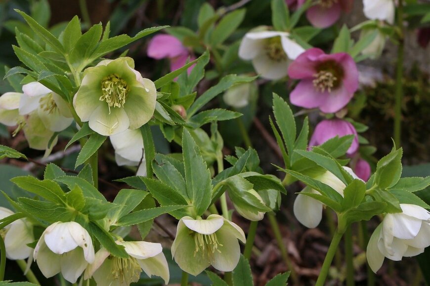 Leo Malsam/istockphoto.com