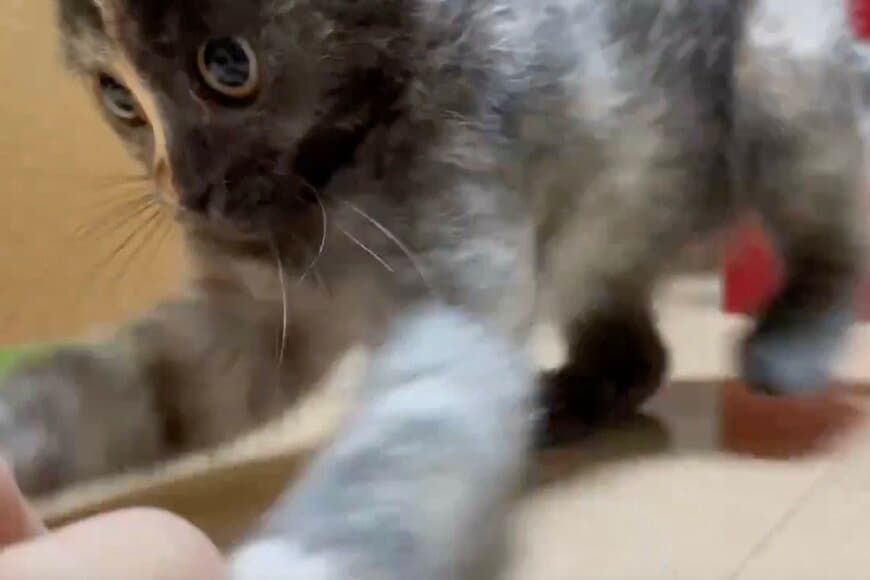 出所：@Airu14Uni05