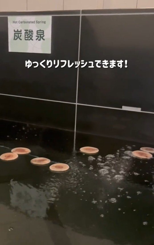 出所：@superhotel_official「炭酸泉で旅の疲れを癒し、選べる枕や漫画コーナーなど充実のサービスでリラックス」
