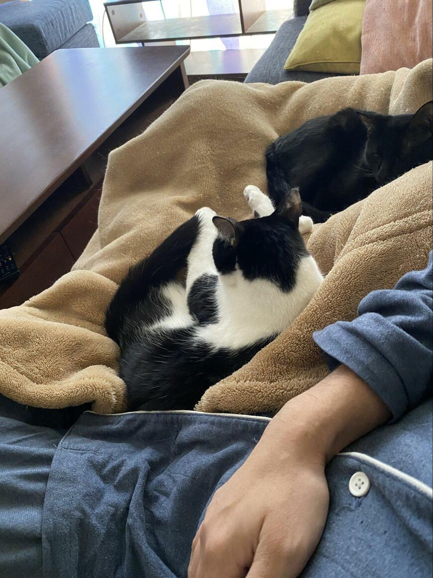 出所：@00shitemita