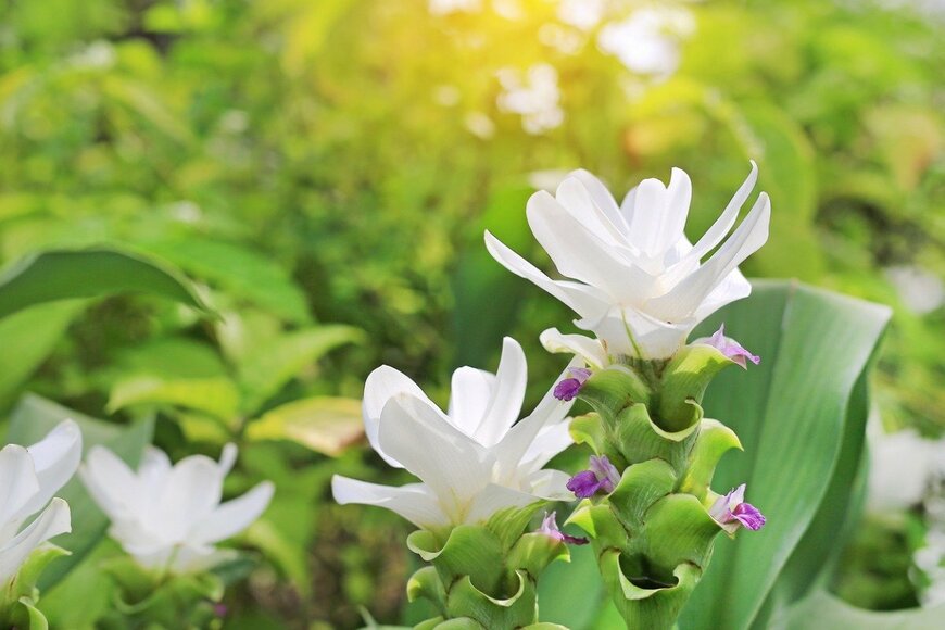 GOLFX/istockphoto.com