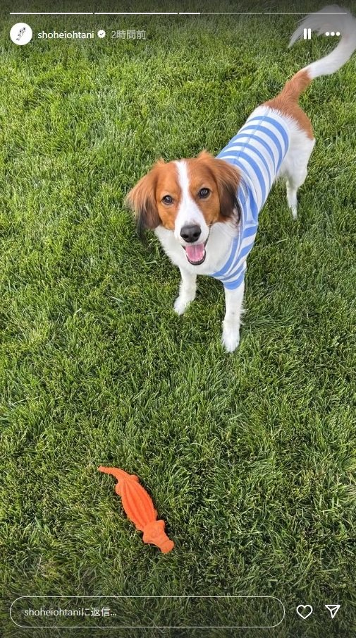 出所：大谷翔平のInstagram（＠shoheiohtani）参照日：2025年6月13日