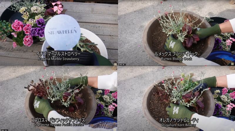 出所：@ohanachannel30