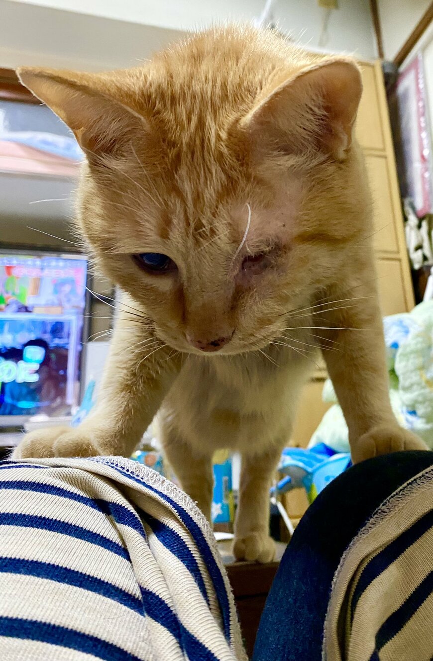 出所：@luna7taka9