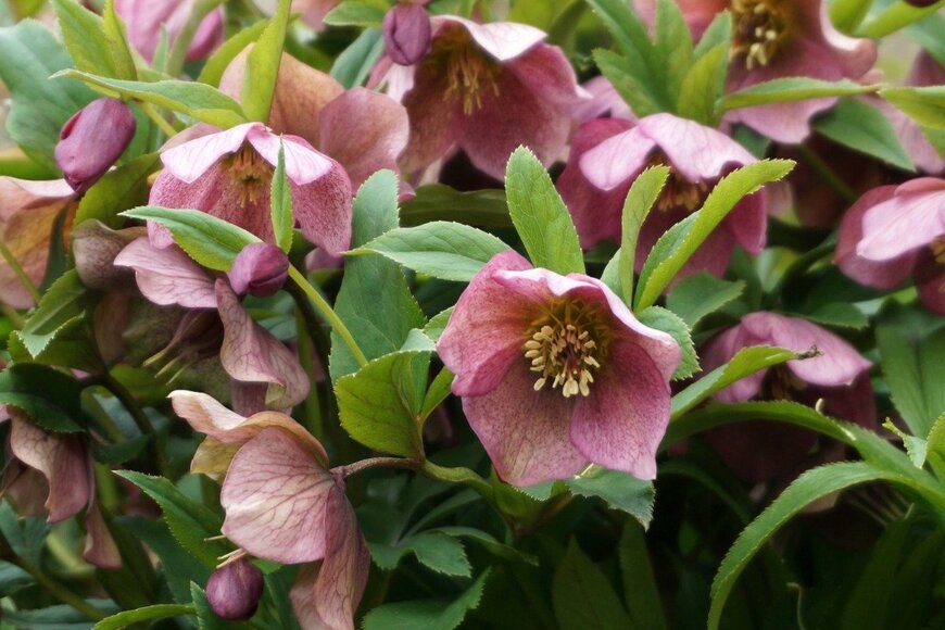 OntheRunPhoto/istockphoto.com