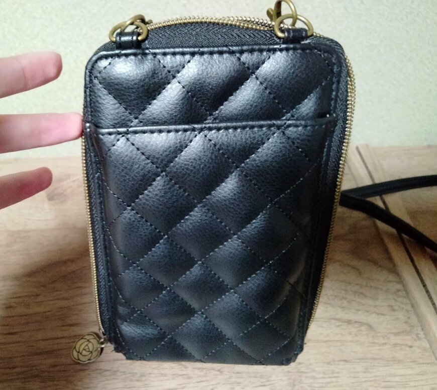 筆者撮影（宝島社、ANNA SUI じゃばら式スマホポーチ）