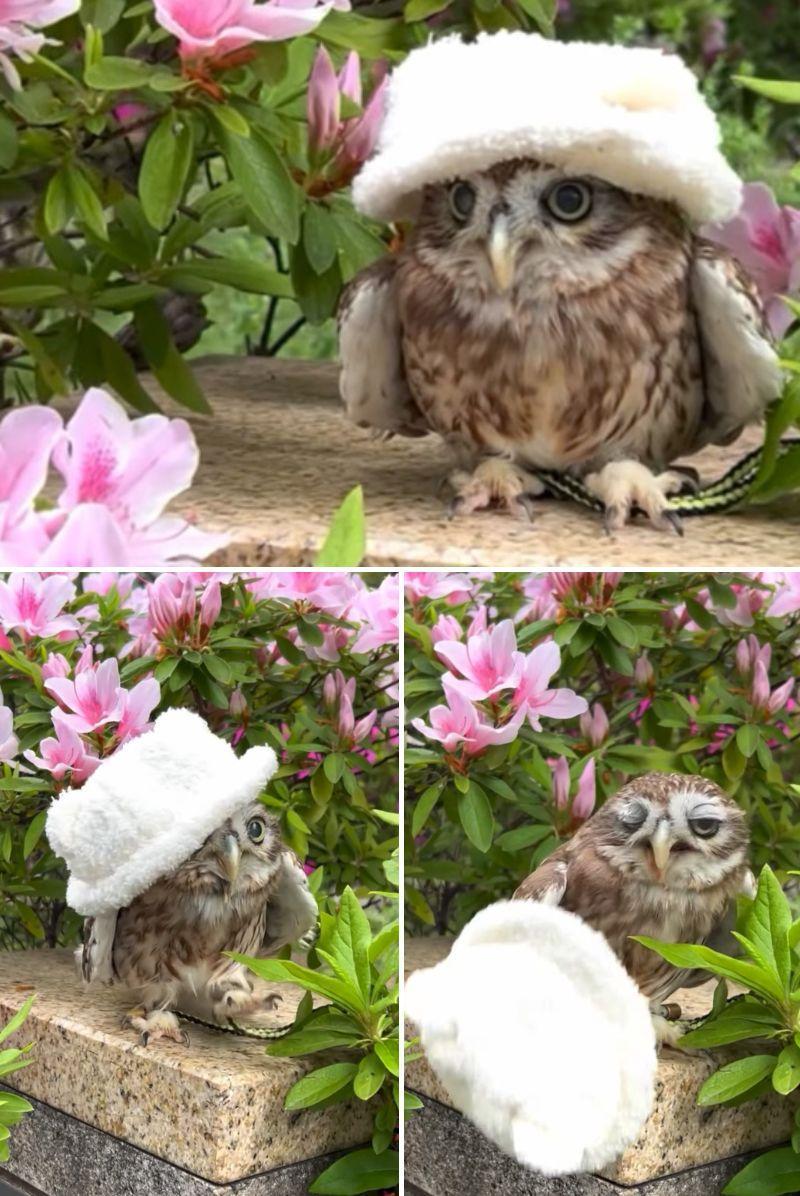 出所：@cr8673.hiro