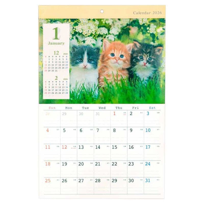 出所:キャンドゥ公式 26カレンダー A3 ネコ写真