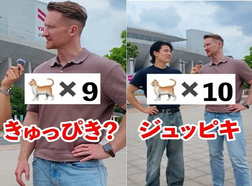 投稿動画のワンシーン