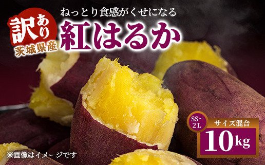 出所：ふるさとチョイス「【訳あり】生芋10kg　SSサイズ～2Lサイズ（サイズバラ）」