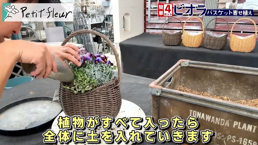 プチフルール 園芸Ch(@petit_fleur)さん投稿動画のキャプチャ