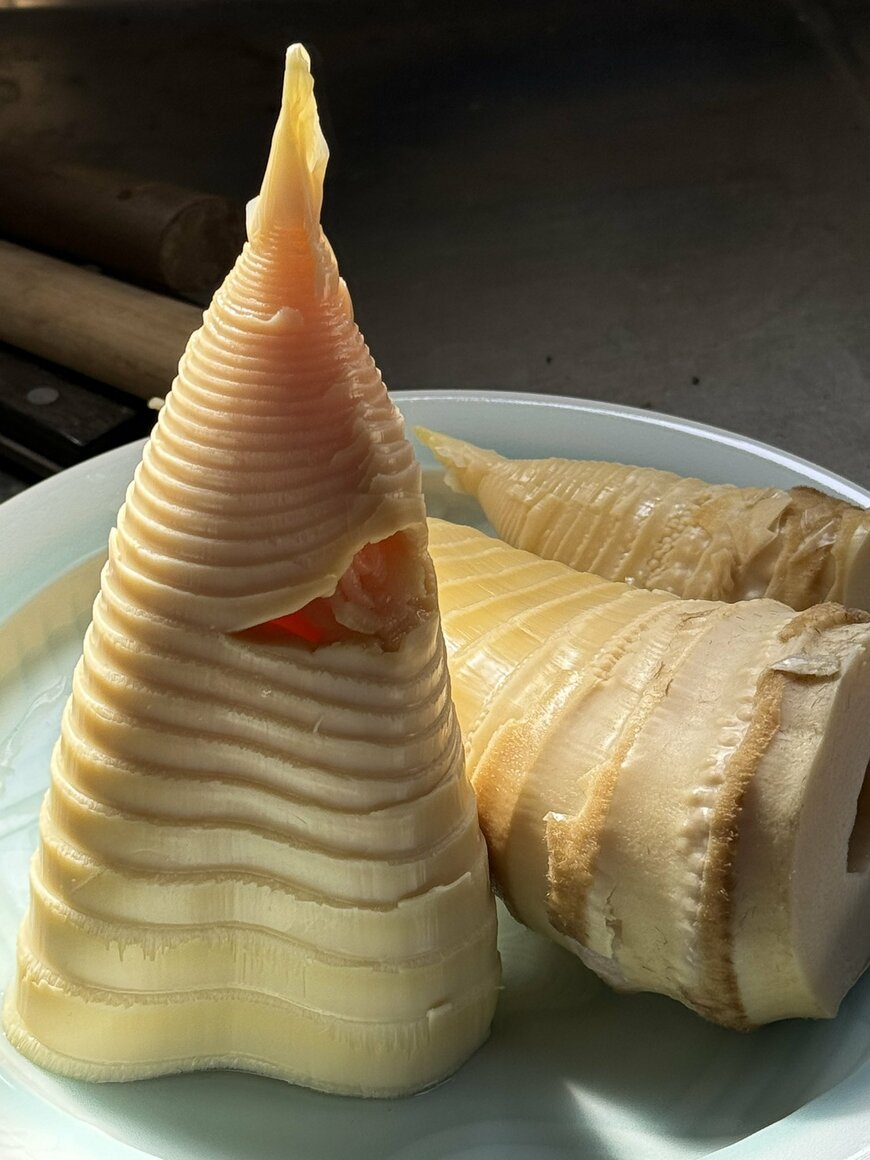 何かに似ていると思ったら…