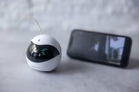 猫の肥満解消に友達ロボットが一肌脱ぎます！完成度の高さに飼い主も大満足