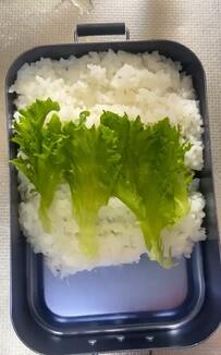 会社員彼女が「よく食べる同棲中の彼氏」につくる【豚の生姜焼き弁当】ボリューム満点で美味しそう！