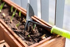初心者でも育てやすい秋冬野菜オススメ3選！プランターでカンタン家庭菜園