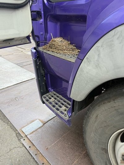 助手席側をよく見ると…