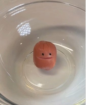 投稿動画のワンシーン