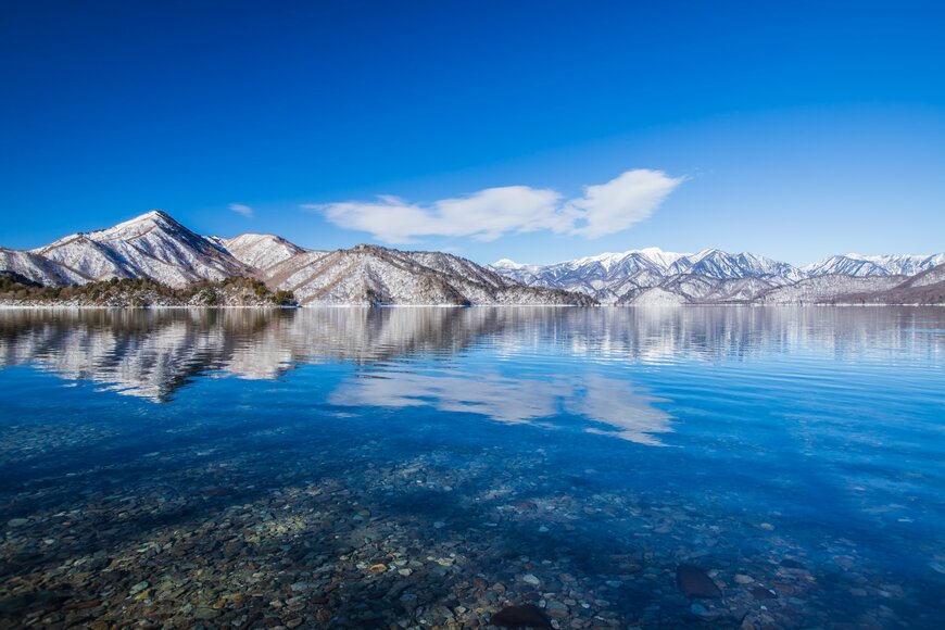 Spyan/shutterstock.com