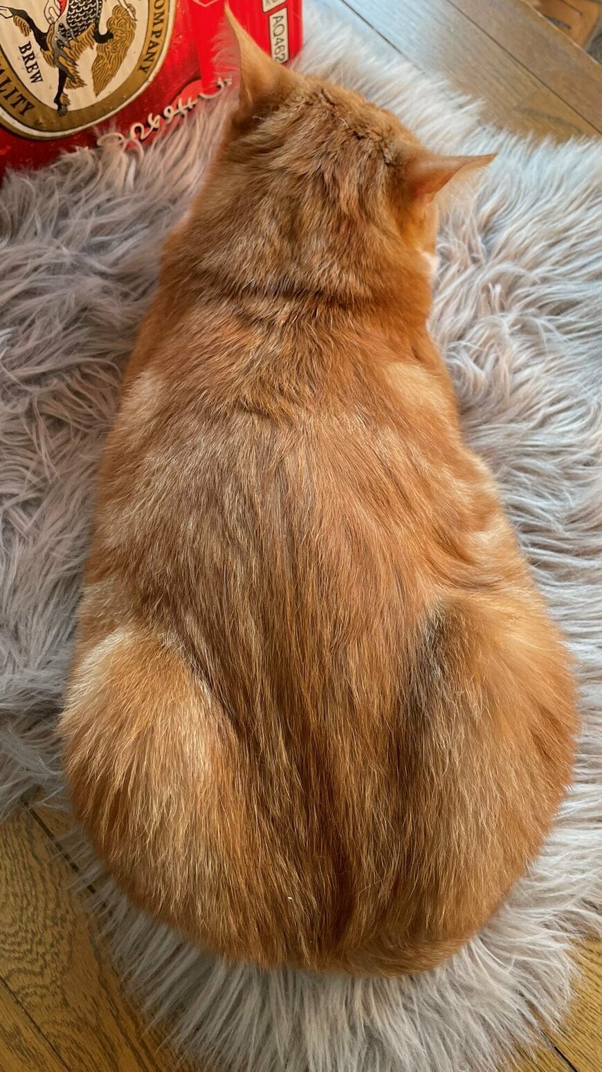 出所：@Beercat_Ana_Dar