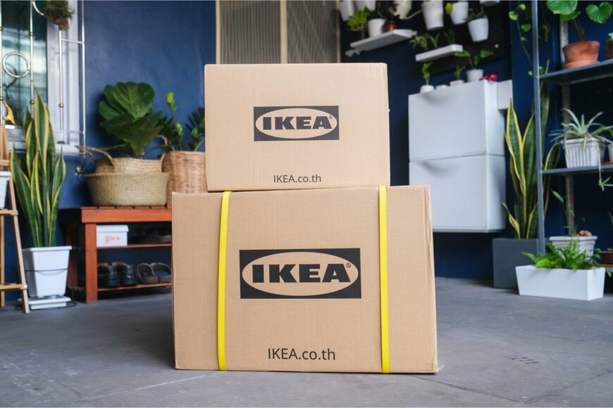 観葉植物はIKEAで選ぶ「初心者でも育てやすい」お手頃グリーン4選