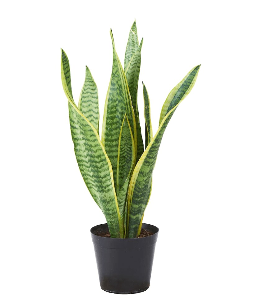 画像出典：IKEA公式