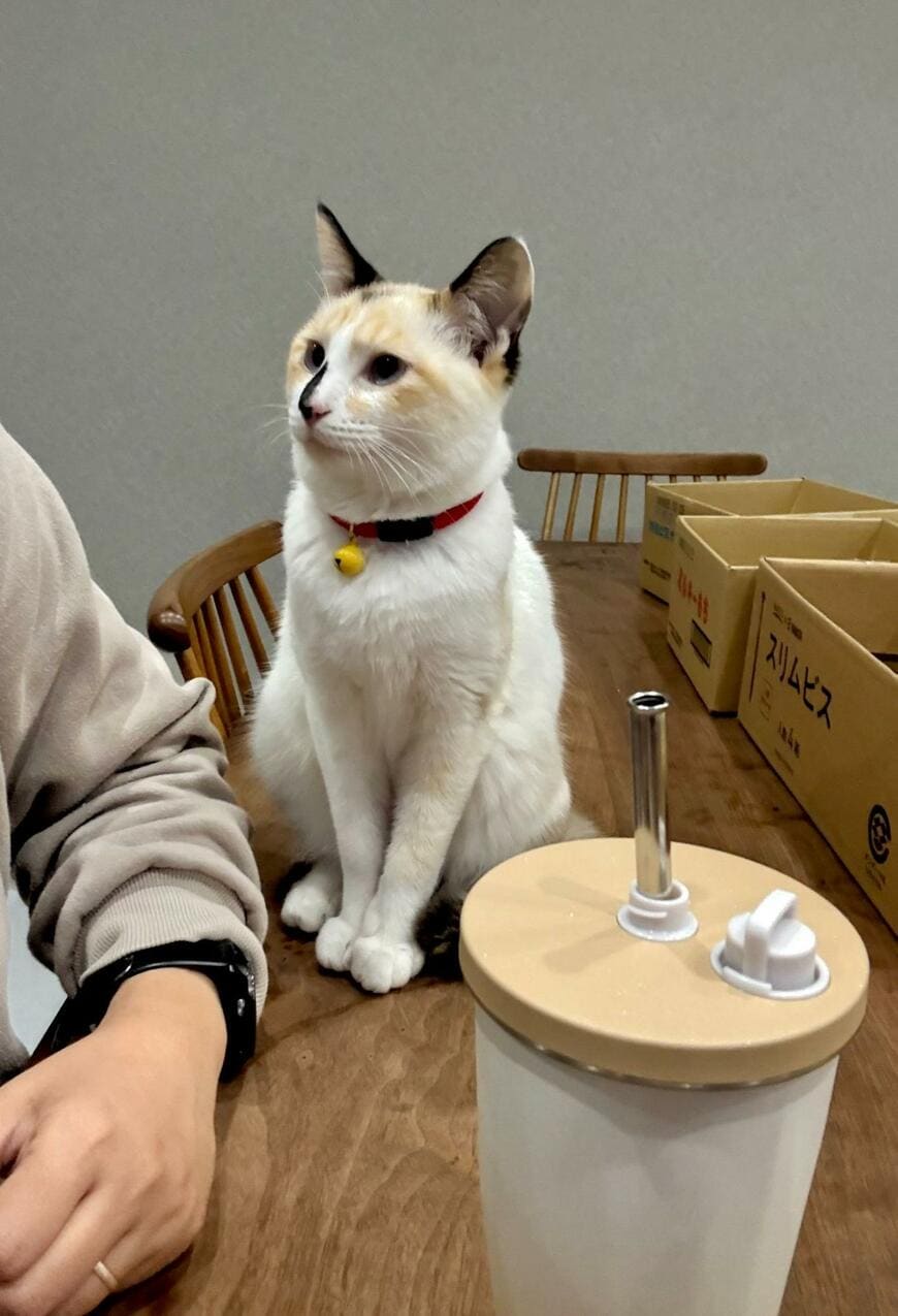 出所：@omochi_nam01