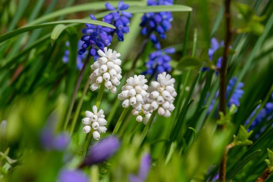 Iva Vagnerova/shutterstock.com